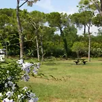 Gardazzurro 3*